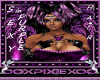 Veronica Purple mix  5