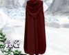 Scarlet Silk Cloak