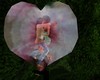 heartflower romantic 