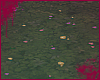 faerie grass night