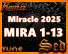 |S| Miracle 2025 Remix