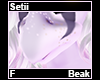 Setii Beak F