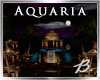 *B* Aquaria