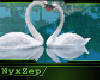 ! SWAN KISS POSE