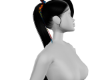 Color Garden Black Hair