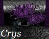 (CRYS) Passion Tree