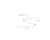 Lilac Light Purple