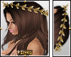 P| Gold Leaf Crown