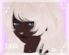 T|Kayda Plat