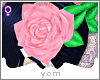 Y{ rose buns~w/o ribbon}