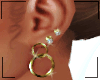 Dia&Gold Earrings