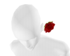 Nk5.Redrose4