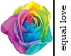 equal love rose