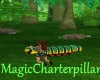 [BD]MagicCharterpillar