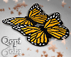 Butterfly Orange Rugs