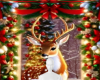Buck deer background