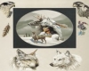 INDIAN W/ WOLVES