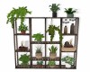 Large Plant Shelf #3