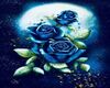 blue rose background