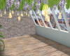 Display Wisteria Rooftop