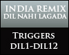 India Remix Dil Nahi La.