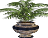 SS-Potted Palm