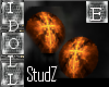 StudZ :i: Cross Fire
