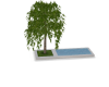 B| Pool Tree