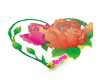 love - wedding rose