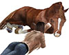 Horse Relaxing Animated