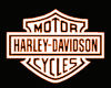 Harley Davidson - Shirt