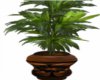 Brown Pot Plant TT