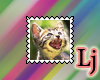 kitten stamp 6