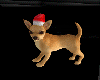 [bu]Christmas Chihuahua