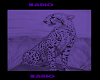 cheetah radio
