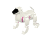 Robo Dog | V2 (Mobile)