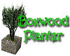 Boxwood planter