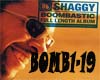 Shaggy -Boombastic Remix