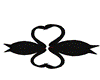 Black Kissing Swans