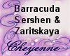 C~ Barracuda