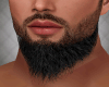 Realistic Black  Beard