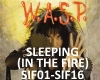 SLEEPING (IN THE FIRE)