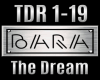 Ƀ TDR 1-19