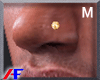 AF. Gold Nose Piercing M