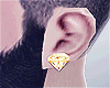 Gold Dimond Earrings ▲