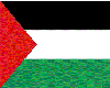 Palestine  nanos K