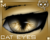 Gold Eyes M1a Ⓚ