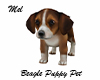 Beagle Puppy Pet