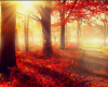 Autumn Background 1