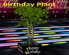 Birthday Plant